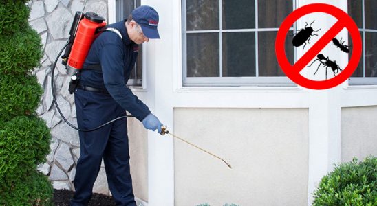 Babaeski Hamam Böceği İlaçlama böcek ilaçlama ve haşere kontrolü — ilaclama-tr.com